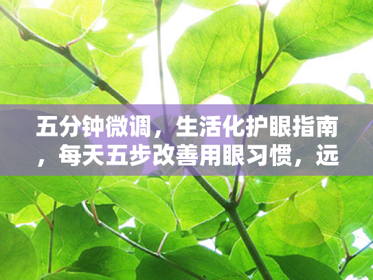 五分钟微调,生活化护眼指南,每天五步改善用眼习惯,远离眼疲劳