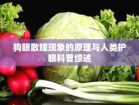 狗眼散瞳现象的原理与人类护眼科普综述 狗眼散瞳现象的原理与人类护眼科普综述