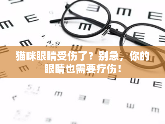猫咪眼睛受伤了?别急,你的眼睛也需要疗伤! 猫咪眼睛受伤了?别急,你的眼睛也需要疗伤!