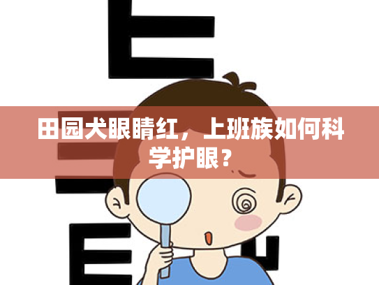 田园犬眼睛红,上班族如何科学护眼?