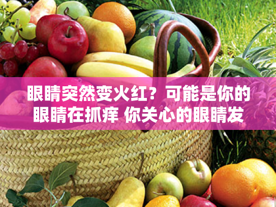 眼睛突然变火红?可能是你的眼睛在抓痒 你关心的眼睛发红发痒全解析 眼睛突然变火红?可能是你的眼睛在抓痒 你关心的眼睛发红发痒全解析