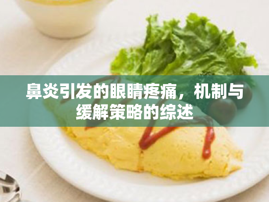 鼻炎引发的眼睛疼痛,机制与缓解策略的综述 鼻炎引发的眼睛疼痛,机制与缓解策略的综述