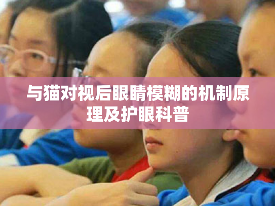 与猫对视后眼睛模糊的机制原理及护眼科普 与猫对视后眼睛模糊的机制原理及护眼科普