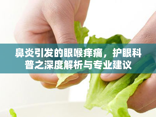 鼻炎引发的眼喉痒痛,护眼科普之深度解析与专业建议 鼻炎引发的眼喉痒痛,护眼科普之深度解析与专业建议