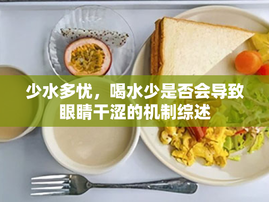 少水多忧,喝水少是否会导致眼睛干涩的机制综述 少水多忧,喝水少是否会导致眼睛干涩的机制综述