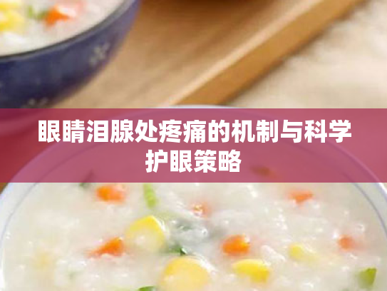 眼睛泪腺处疼痛的机制与科学护眼策略 眼睛泪腺处疼痛的机制与科学护眼策略