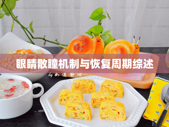 眼睛散瞳机制与恢复周期综述 眼睛散瞳机制与恢复周期综述