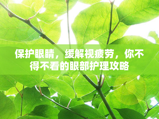 保护眼睛,缓解视疲劳,你不得不看的眼部护理攻略 保护眼睛,缓解视疲劳,你不得不看的眼部护理攻略
