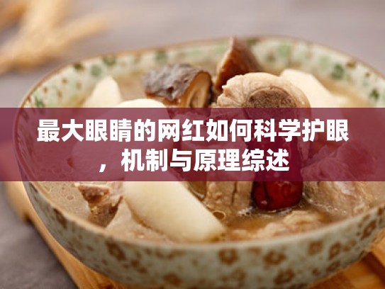 最大眼睛的网红如何科学护眼,机制与原理综述 最大眼睛的网红如何科学护眼,机制与原理综述