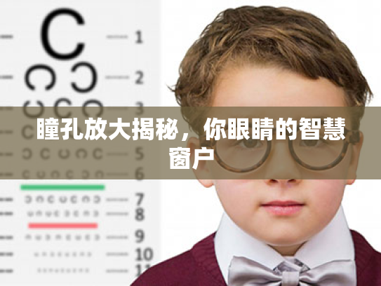 瞳孔放大揭秘，你眼睛的智慧窗户