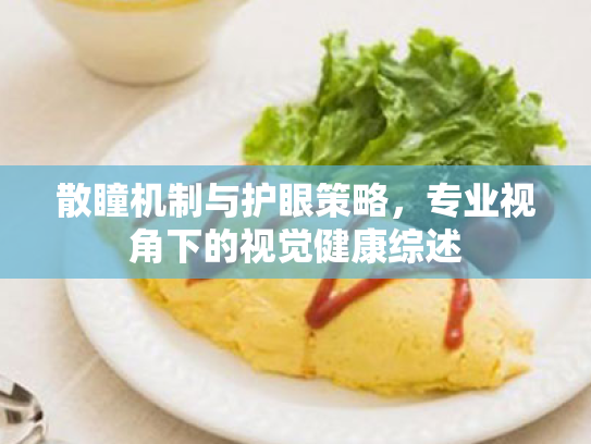 散瞳机制与护眼策略,专业视角下的视觉健康综述 散瞳机制与护眼策略,专业视角下的视觉健康综述