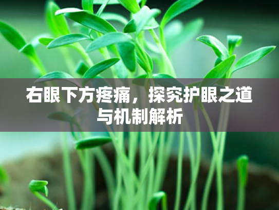 右眼下方疼痛,探究护眼之道与机制解析 右眼下方疼痛,探究护眼之道与机制解析