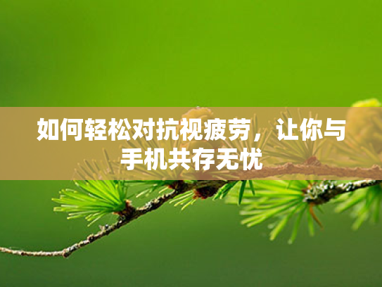 如何轻松对抗视疲劳,让你与手机共存无忧 如何轻松对抗视疲劳,让你与手机共存无忧