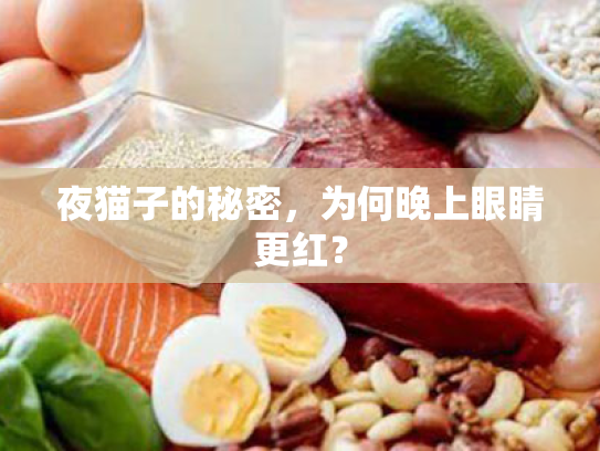 夜猫子的秘密，为何晚上眼睛更红？