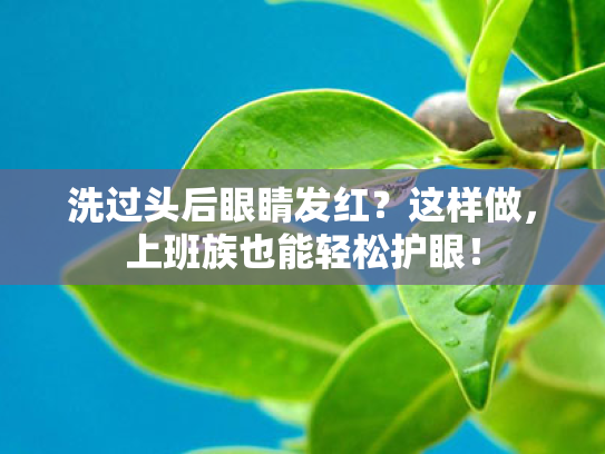 洗过头后眼睛发红?这样做,上班族也能轻松护眼! 洗过头后眼睛发红?这样做,上班族也能轻松护眼!