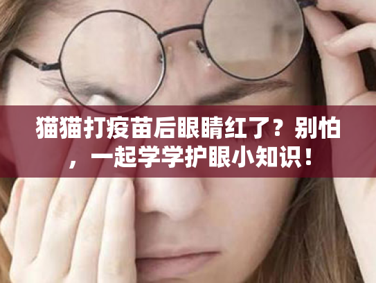 猫猫打疫苗后眼睛红了?别怕,一起学学护眼小知识! 猫猫打疫苗后眼睛红了?别怕,一起学学护眼小知识!