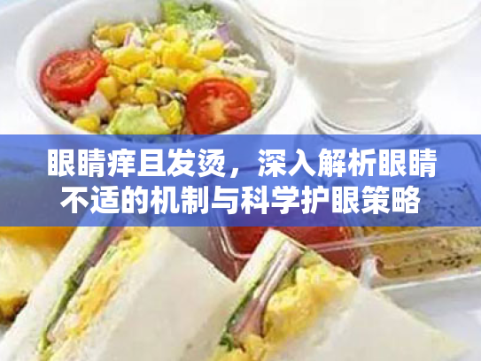 眼睛痒且发烫,深入解析眼睛不适的机制与科学护眼策略 眼睛痒且发烫,深入解析眼睛不适的机制与科学护眼策略