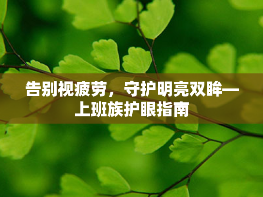 告别视疲劳,守护明亮双眸—上班族护眼指南 告别视疲劳,守护明亮双眸—上班族护眼指南