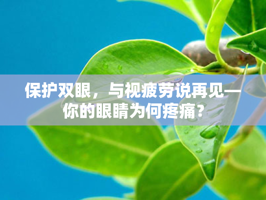 保护双眼,与视疲劳说再见—你的眼睛为何疼痛? 保护双眼,与视疲劳说再见—你的眼睛为何疼痛?