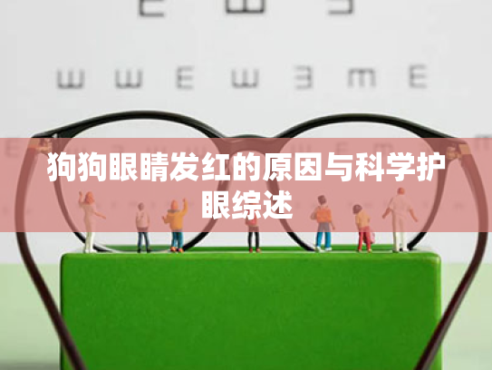 狗狗眼睛发红的原因与科学护眼综述 狗狗眼睛发红的原因与科学护眼综述
