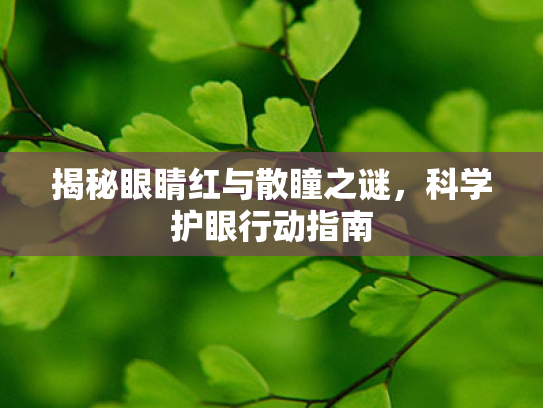 揭秘眼睛红与散瞳之谜,科学护眼行动指南 揭秘眼睛红与散瞳之谜,科学护眼行动指南