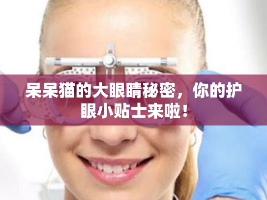 呆呆猫的大眼睛秘密,你的护眼小贴士来啦! 呆呆猫的大眼睛秘密,你的护眼小贴士来啦!