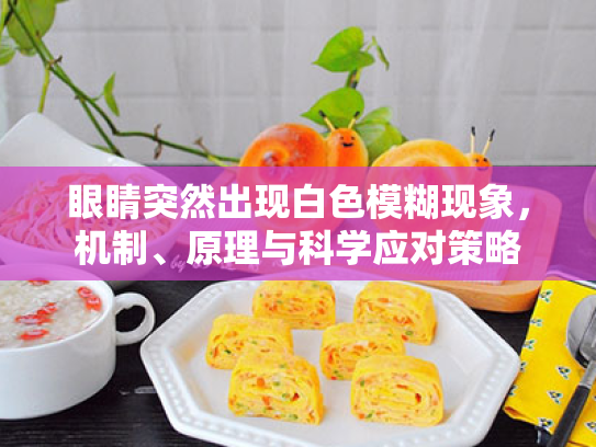 眼睛突然出现白色模糊现象,机制、原理与科学应对策略 眼睛突然出现白色模糊现象,机制、原理与科学应对策略