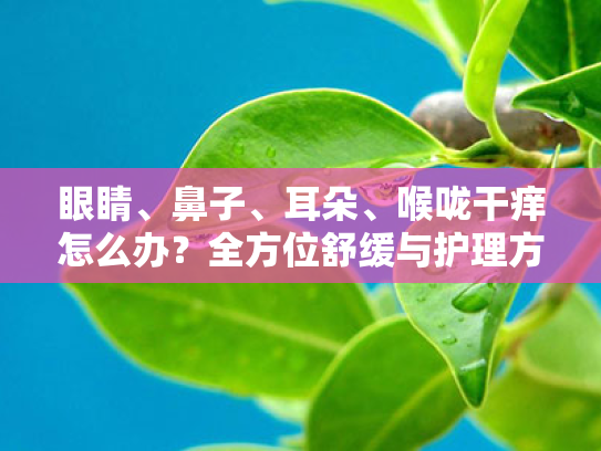眼睛、鼻子、耳朵、喉咙干痒怎么办?全方位舒缓与护理方案 眼睛、鼻子、耳朵、喉咙干痒怎么办?全方位舒缓与护理方案