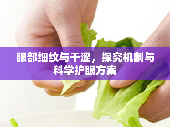 眼部细纹与干涩，探究机制与科学护眼方案