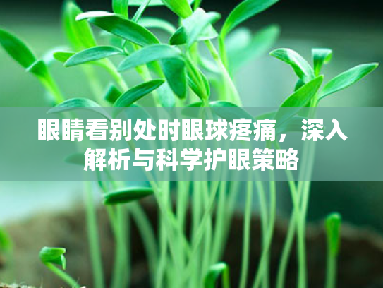 眼睛看别处时眼球疼痛，深入解析与科学护眼策略