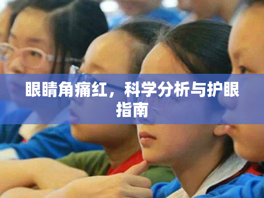 眼睛角痛红,科学分析与护眼指南 眼睛角痛红,科学分析与护眼指南