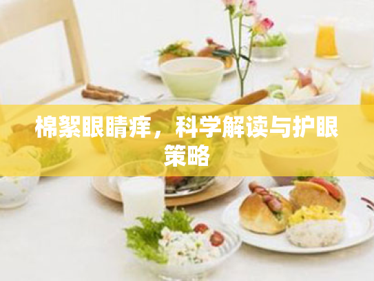 棉絮眼睛痒,科学解读与护眼策略 棉絮眼睛痒,科学解读与护眼策略