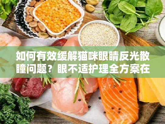 如何有效缓解猫咪眼睛反光散瞳问题？眼不适护理全方案在此