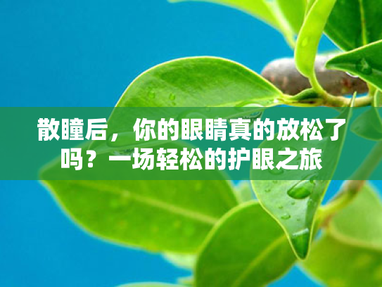 散瞳后,你的眼睛真的放松了吗?一场轻松的护眼之旅 散瞳后,你的眼睛真的放松了吗?一场轻松的护眼之旅