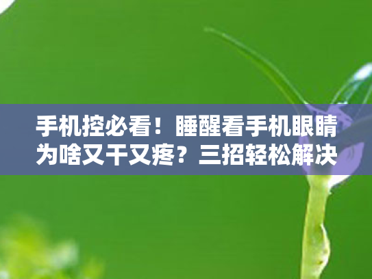 手机控必看!睡醒看手机眼睛为啥又干又疼?三招轻松解决你的屏幕眼烦恼! 手机控必看!睡醒看手机眼睛为啥又干又疼?三招轻松解决你的屏幕眼烦恼!
