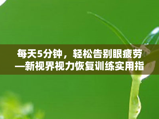 每天5分钟,轻松告别眼疲劳—新视界视力恢复训练实用指南 每天5分钟,轻松告别眼疲劳—新视界视力恢复训练实用指南