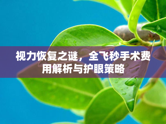 视力恢复之谜,全飞秒手术费用解析与护眼策略 视力恢复之谜,全飞秒手术费用解析与护眼策略