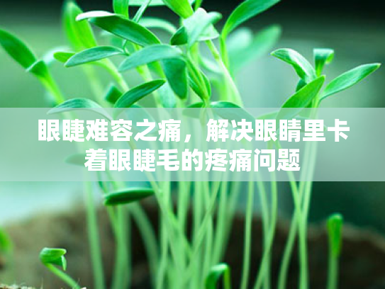 眼睫难容之痛,解决眼睛里卡着眼睫毛的疼痛问题 眼睫难容之痛,解决眼睛里卡着眼睫毛的疼痛问题