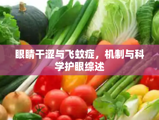 眼睛干涩与飞蚊症,机制与科学护眼综述 眼睛干涩与飞蚊症,机制与科学护眼综述