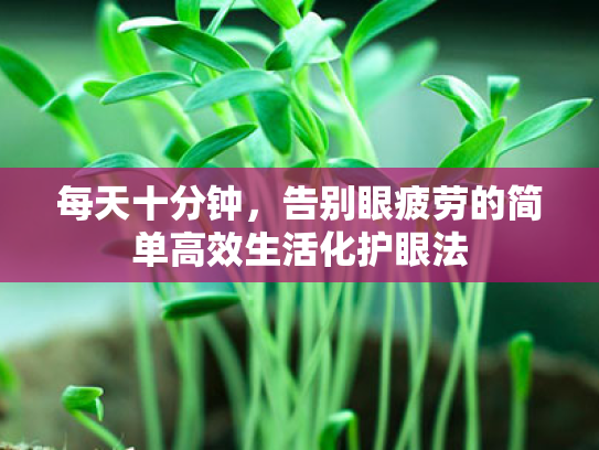 每天十分钟，告别眼疲劳的简单高效生活化护眼法