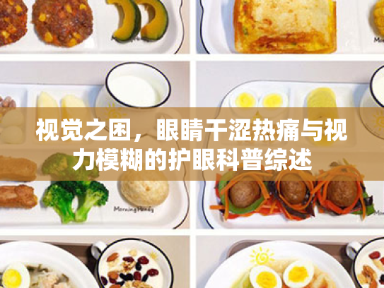 视觉之困,眼睛干涩热痛与视力模糊的护眼科普综述 视觉之困,眼睛干涩热痛与视力模糊的护眼科普综述
