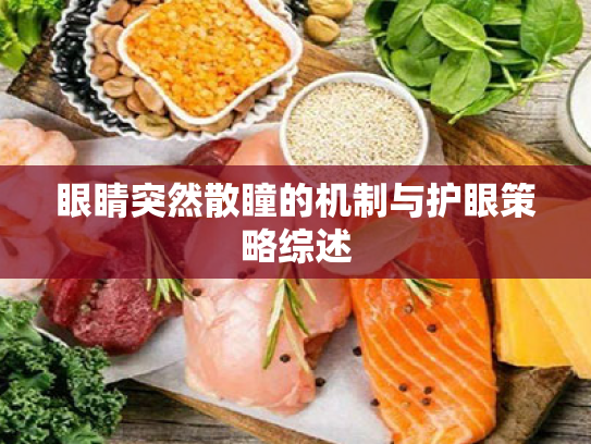 眼睛突然散瞳的机制与护眼策略综述 眼睛突然散瞳的机制与护眼策略综述