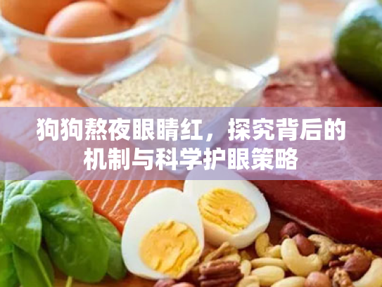 狗狗熬夜眼睛红,探究背后的机制与科学护眼策略 狗狗熬夜眼睛红,探究背后的机制与科学护眼策略