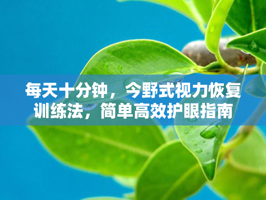 每天十分钟,今野式视力恢复训练法,简单高效护眼指南 每天十分钟,今野式视力恢复训练法,简单高效护眼指南