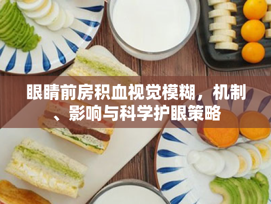 眼睛前房积血视觉模糊,机制、影响与科学护眼策略 眼睛前房积血视觉模糊,机制、影响与科学护眼策略