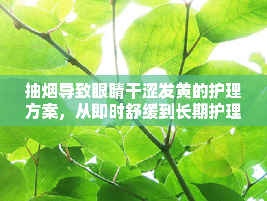 抽烟导致眼睛干涩发黄的护理方案,从即时舒缓到长期护理的全面指南 抽烟导致眼睛干涩发黄的护理方案,从即时舒缓到长期护理的全面指南