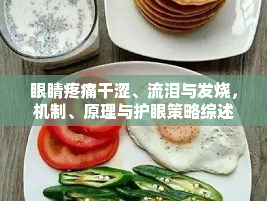 眼睛疼痛干涩、流泪与发烧,机制、原理与护眼策略综述 眼睛疼痛干涩、流泪与发烧,机制、原理与护眼策略综述