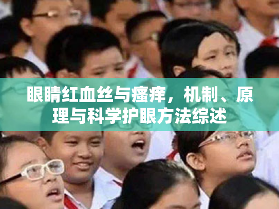眼睛红血丝与瘙痒,机制、原理与科学护眼方法综述 眼睛红血丝与瘙痒,机制、原理与科学护眼方法综述