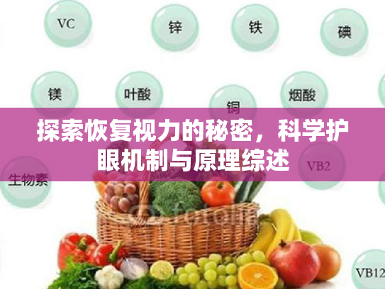 探索恢复视力的秘密,科学护眼机制与原理综述 探索恢复视力的秘密,科学护眼机制与原理综述