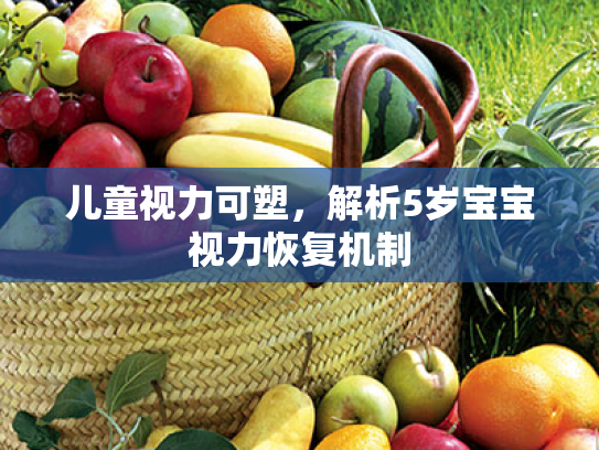 儿童视力可塑,解析5岁宝宝视力恢复机制 儿童视力可塑,解析5岁宝宝视力恢复机制
